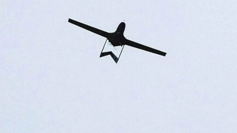 Богомаз: ВСУ нанесли 66 ударов по селам Брянской области 7 мая