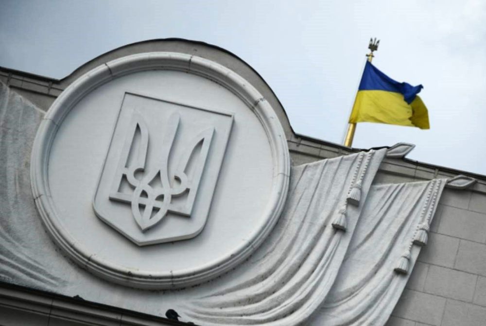 ���� �������: ������� ������������ ������ �����, ���������, ������� �������� ���� ����� �� �������� ������ ������������� ������� �������������