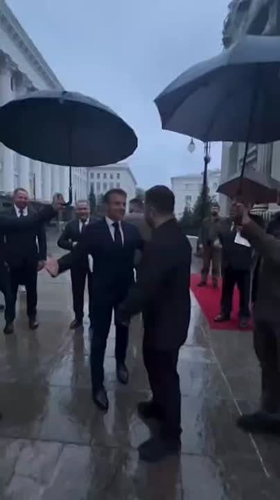 ������ ��������: � ��� ���� ����� "�� �������� � ���� ��������" ��������� ��� �����������