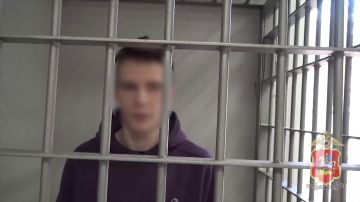 Полиция Подмосковья вычислила одного из курьеров аферистов, похитивших 4,5 млн рублей у пенсионерки