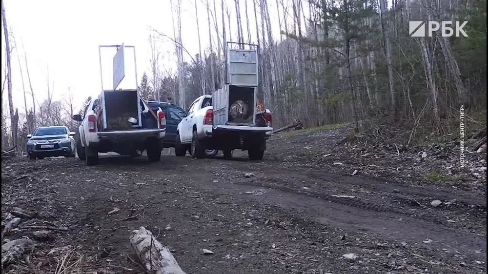 ����� ����������: ����� ������ �������� ���������� ��������� � ������������� ��������� �� ������, �������� ��������� ������ ����������, � ����� �������� �������� ���������� ���������� � ������, � ������� ������ 12 ���: