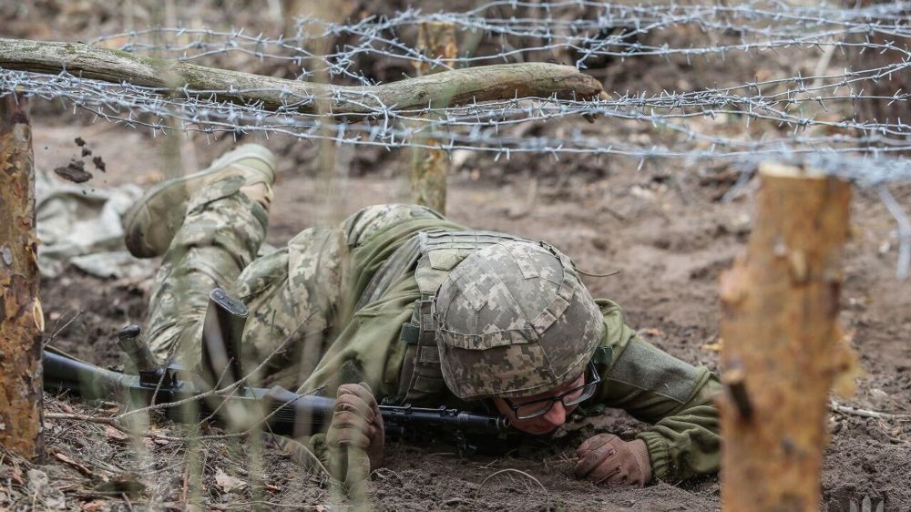 Ультиматум Зеленского: зачем Украине нужно тридцатидневное перемирие