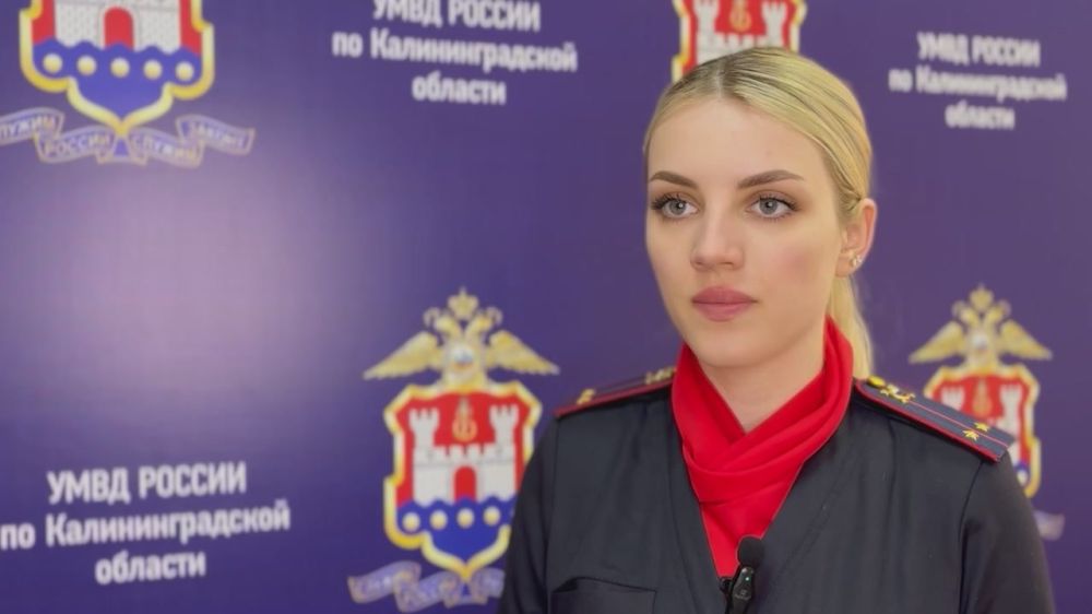 В Калининграде осудят наркоплантаторов и закладчика, сбывавших каннабис через четыре своих наркомаркета