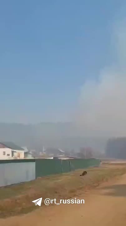 Лесной пожар возле забайкальского села Яблоново: местные жители переживают, что огонь может перекинуться на дома