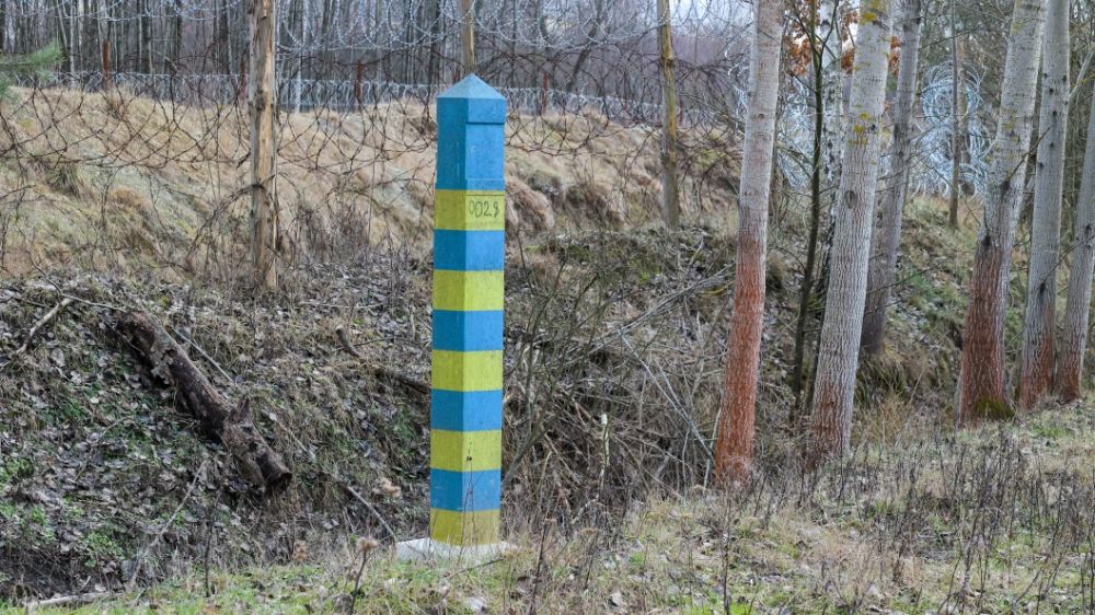 На Украине учительница географии наладила нелегальный "трафик" мужчин через границу