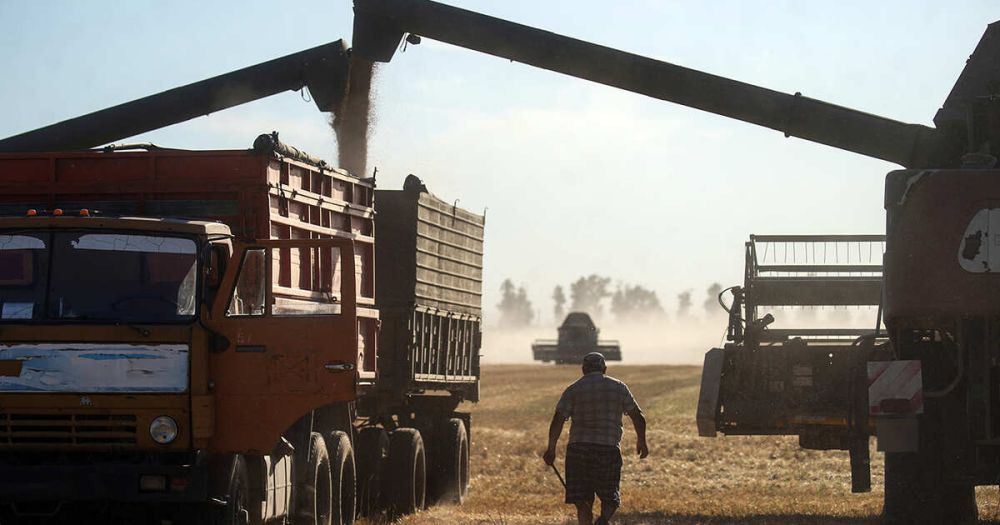 В Европе предрекли Украине финансовых крах из-за сельхозпошлин