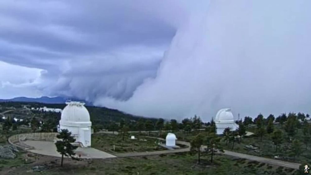 ����� ����������: ��� ��� � ������������ ������ � ������� � ��������, ������� ����� ���������� ����, �������� ����� ������� ������ � �����, � �������� ������ 15 ���: