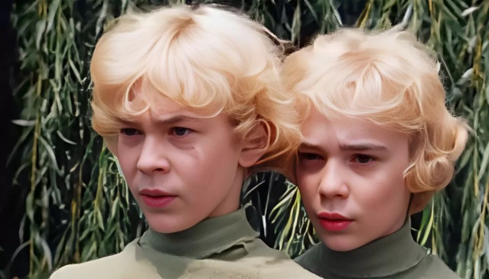 Юрий и Владимир Торсуевы, известные по фильму «Приключения Электроника», служат генералами в казачьем подразделении на СВО