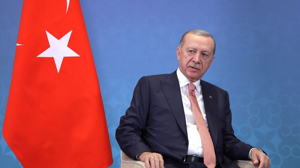 Эрдоган заявил о готовности Турции принять переговоры Путина и Зеленского