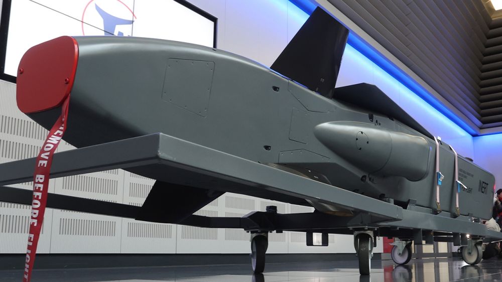 Мерц: Германия пока не планирует поставлять Киеву ракеты Taurus