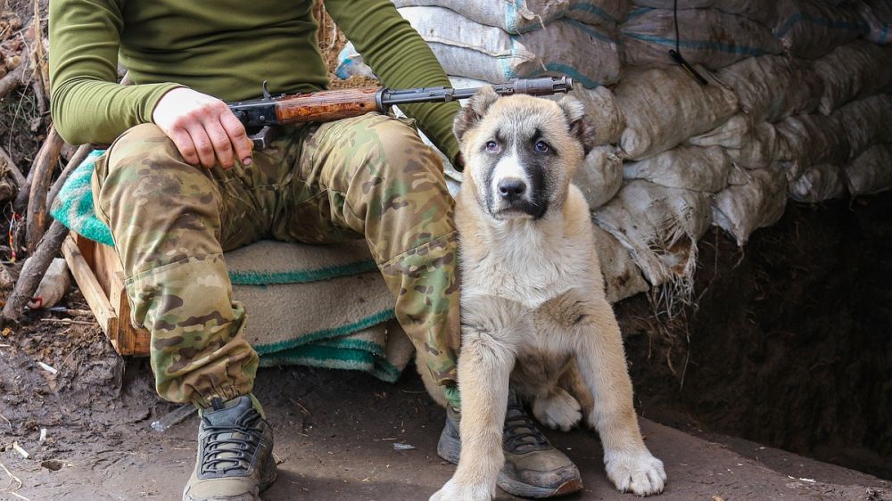 В Женеве заявили об опасениях в отношении военных ВСУ: могут стать преступниками