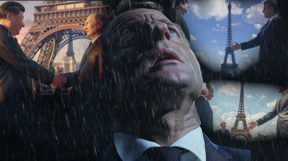 Так выглядят эмоции испуга и стыда: Макрон стал учебным пособием. Без шуток