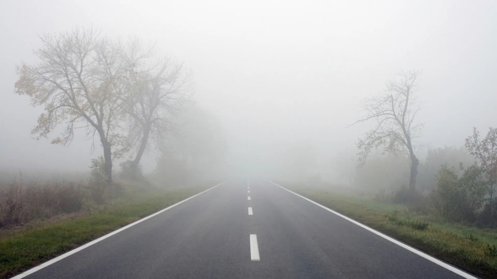 Таинственный туман тишины