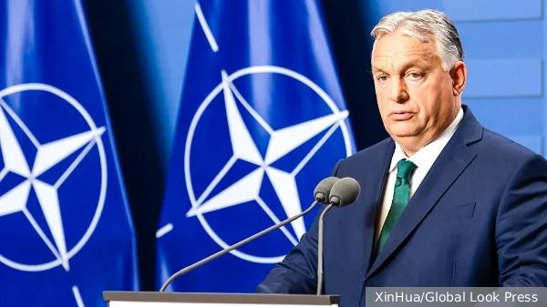 Венгрия призывает НАТО защитить ее от Украины