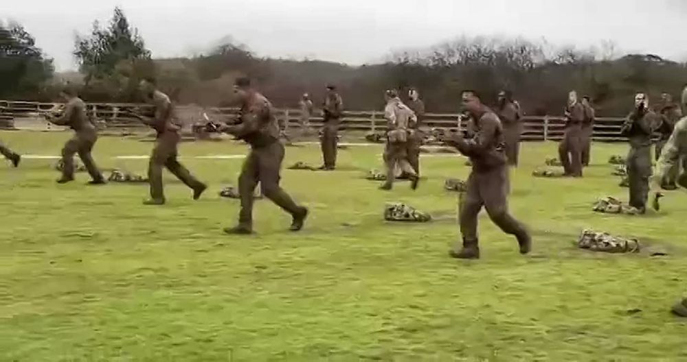 «Это за пределами политической реальности»: Мерц заявил, что отправка военнослужащих из стран НАТО или ЕС на Украину даже не рассматривается