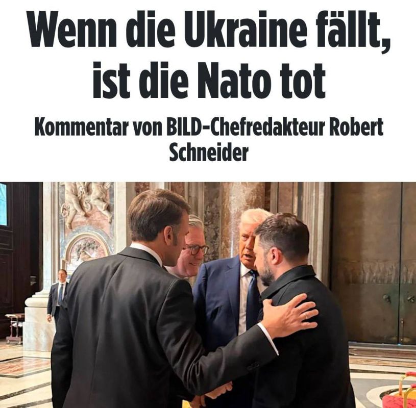 Алексей Журавлев: Если Украина падёт, НАТО умрёт – Bild