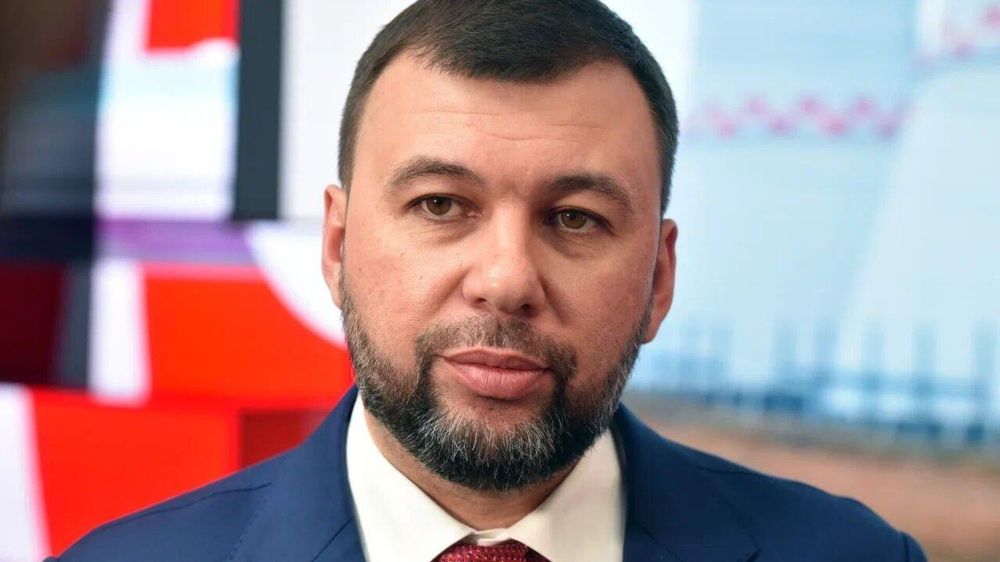 Имеем дело с коварным оппонентом: Пушилин о переговорах по Украине