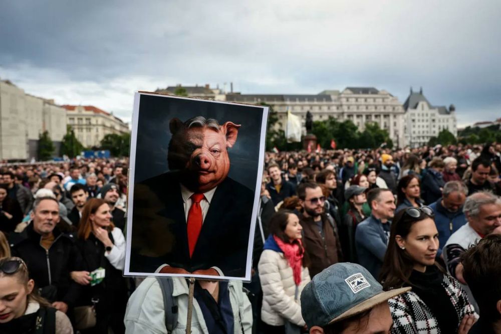 Венгерские грантоеды провели репетицию майдана против Орбана