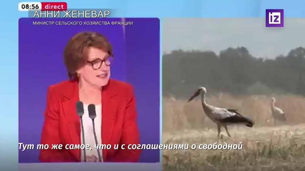 Европа не должна помогать Украине ценой глубокой дестабилизации собственной экономики, заявила министр сельского хозяйства Франции Анни Женевар, комментируя отмену беспошлинного ввоза украинских товаров