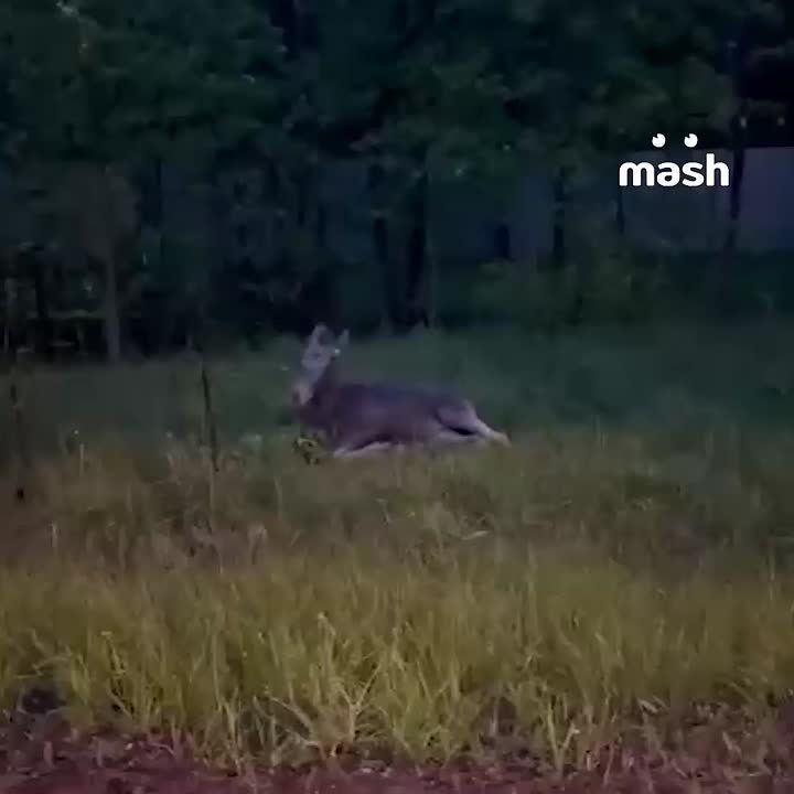 ����� ����������: ������� �� ��������� ������ � ������, ������� ����������� ������� � ���������� �� ���� ���, ����� ������� �� ������� ��-�� ���������� �������� ������������ ������, � �������� ������ 19 ���: