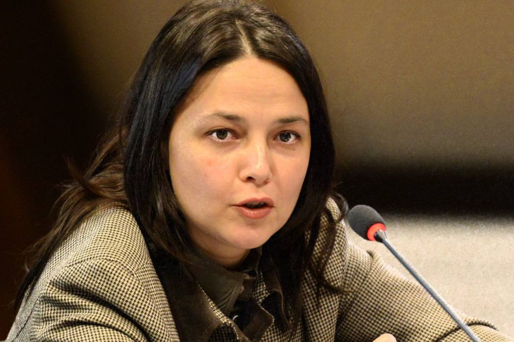 Довгаленко: в Африке понимают первопричины кризиса на Украине