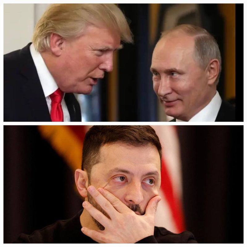 Павел Кукушкин: И ещё немного о мирных переговорах…