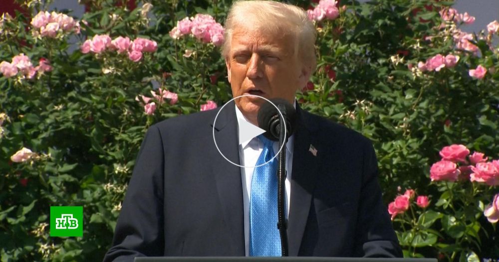 FT: европейских лидеров шокировали итоги беседы Путина и Трампа