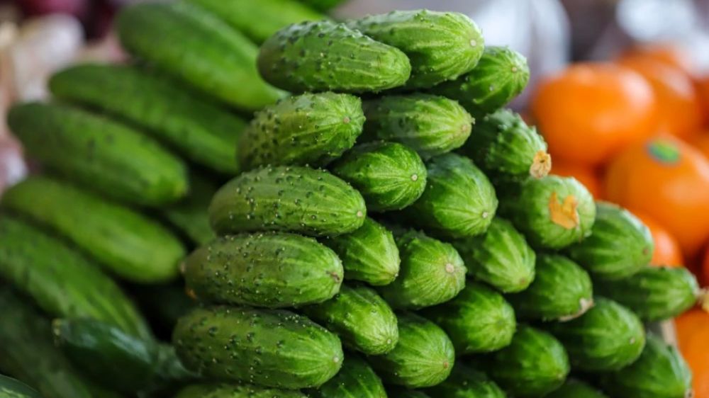 Русские побили рекорд по огурцам: Поставки в Польшу выросли до максимума