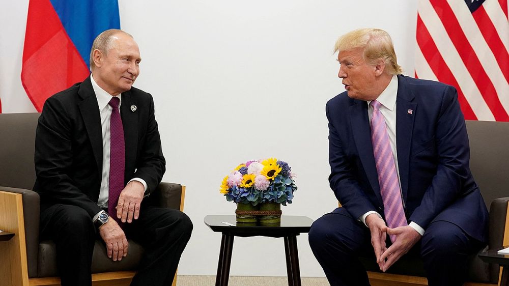 Разбор полетов для Зеленского: почему Киев впал в панику после переговоров Путина и Трампа