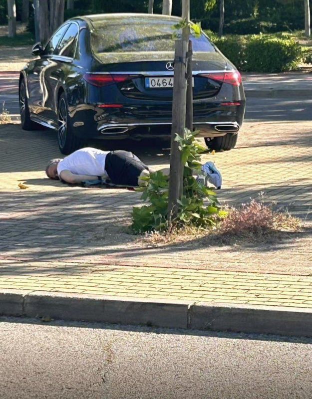 В Испании убит экс-советник Януковича Портнов