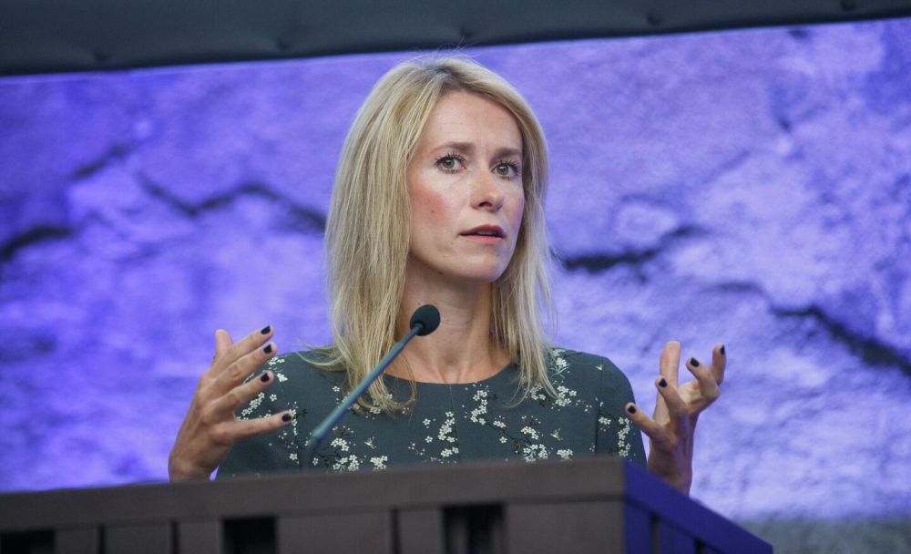 Каллас почти не участвует в обсуждении мира на Украине, заявили в СВР