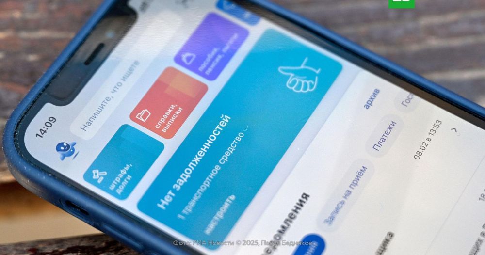 МВД: мошенники стали похищать пароли от «Госуслуг» через Telegram-боты