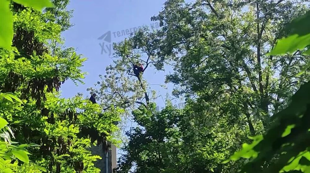 ���� ��������: �������, ������������� ������������� �� �������, ������ ����� ��� ��������� ���������� �� 5 ��� ������ ���������������� � ���� ���������� ���������� ��������