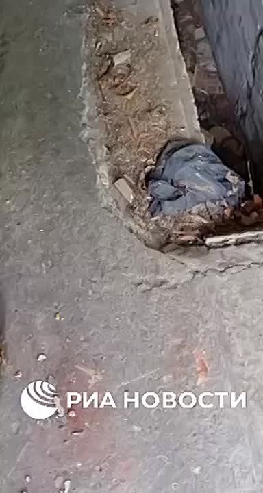 Военнослужащие группировки войск "Север" в окрестностях села Локня Сумской области на севере Украины уничтожили пункт управления беспилотниками вместе с четырьмя операторами, сообщили РИА Новости в российских силовых...