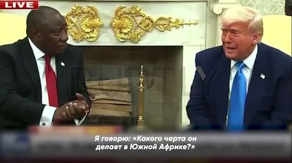 Лягушка-путешественница: Трамп удивился нахождению Зеленского в Южной Африке