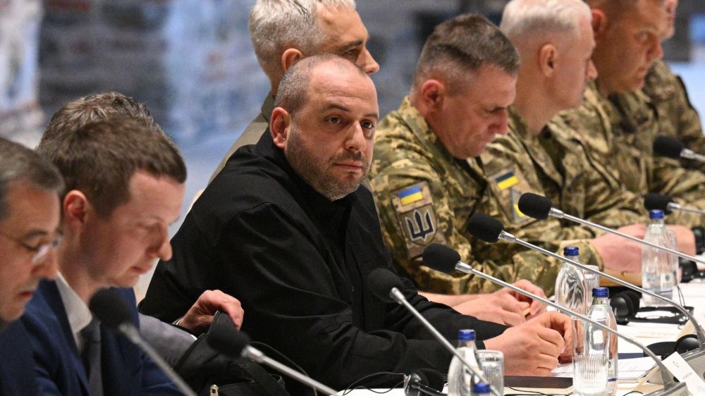 "Зеленский был в гневе": Павлив рассказал, кто создавал и курировал украинскую переговорную группу