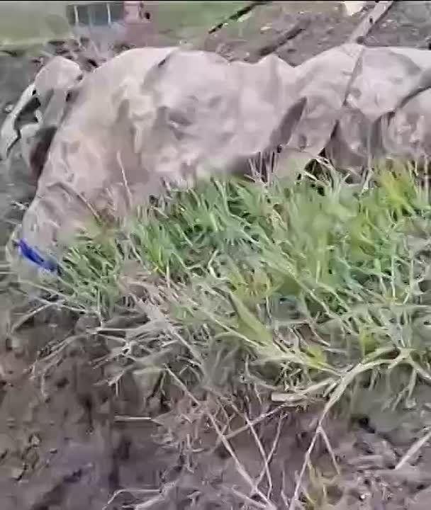 Владислав Шурыгин: А вот и "гитлерюгент" Зеленского подоспел! Этому парубку хватило ума сдаться в плен