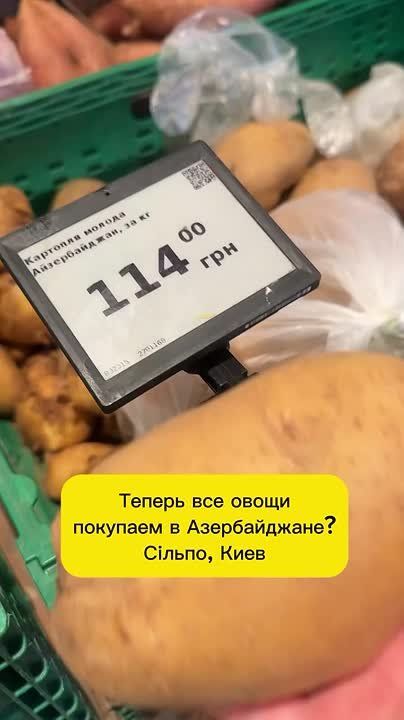 Когда-то — житница СССР, а теперь — заложник импорта