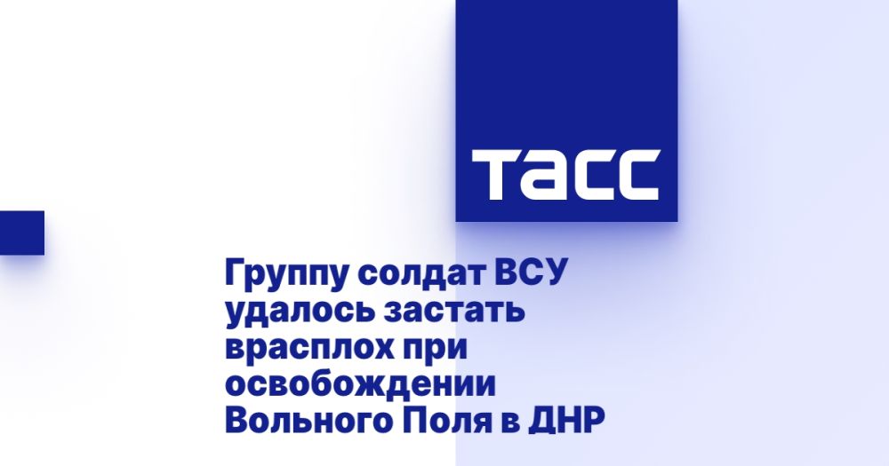 Группу солдат ВСУ удалось застать врасплох при освобождении Вольного Поля в ДНР