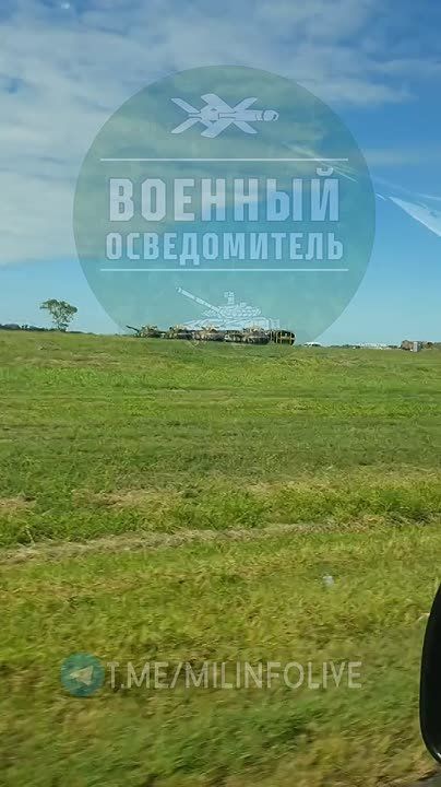 Засветились австралийские "Абрамсы" с зонтиками на крыше, окрестности городка Ингем в штате Квинсленд