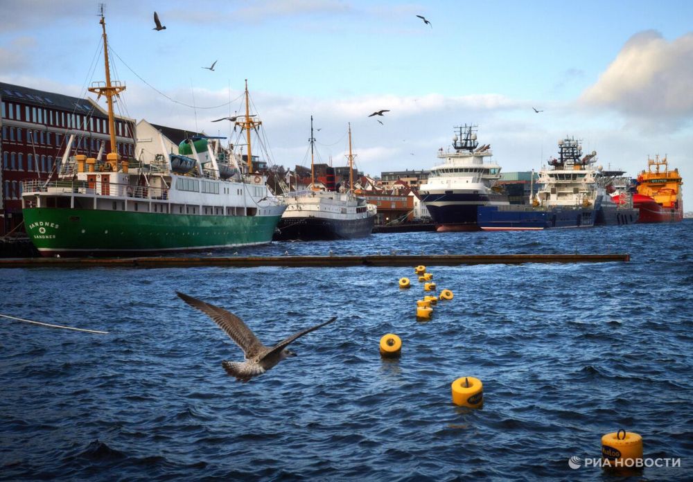 Контейнеровоз сел на мель у дома норвежца из-за уснувшего члена экипажа