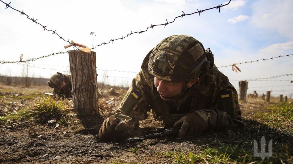 Краснов предостерегает: "Корейский сценарий" для Украины — путь к катастрофе