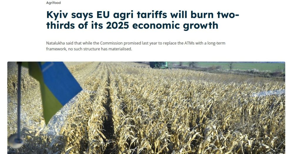 ЕС вернет пошлины на украинскую сельхозпродукцию с 6 июня
