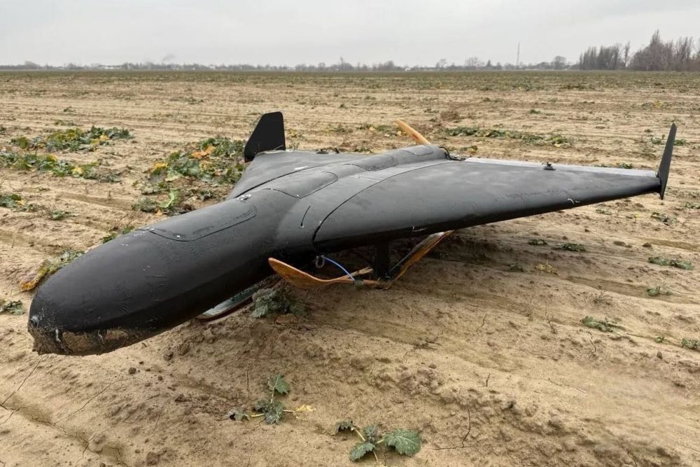 На Украине запустили производство новых многоцелевых БпЛА «Батяр»