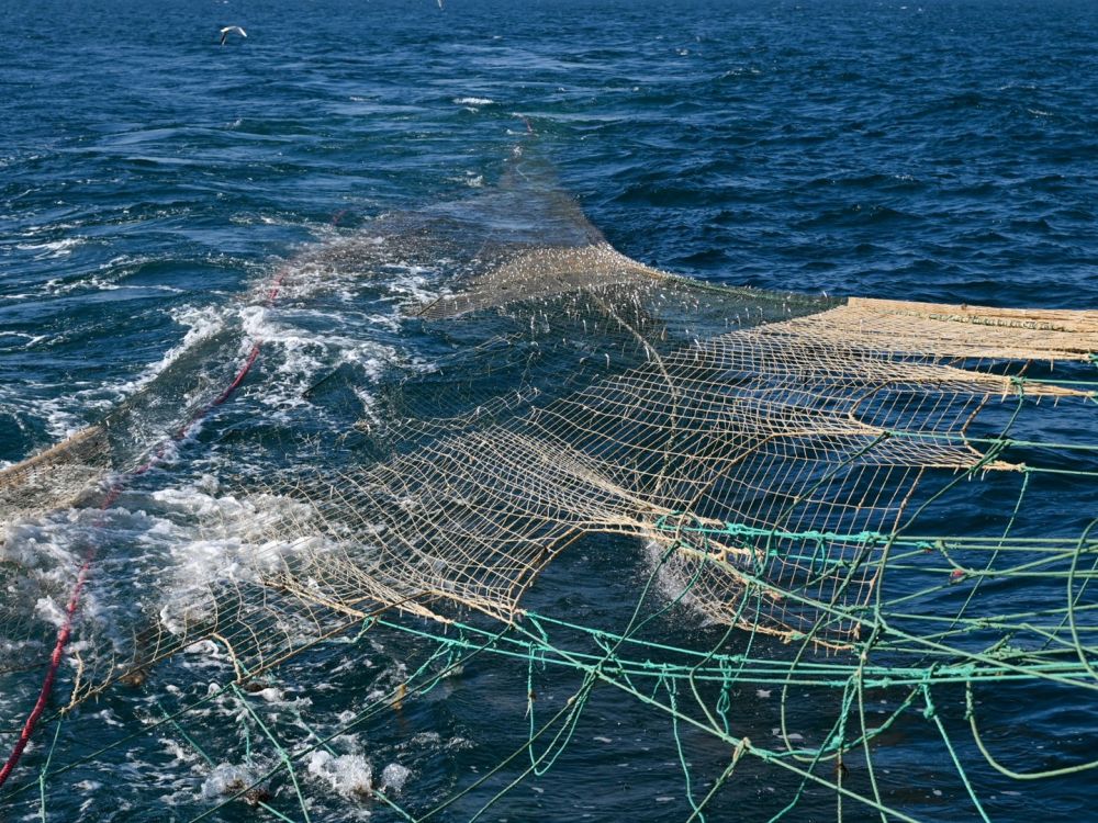 Северная Европа вместо оружия поставляет Украине старые рыбацкие сети