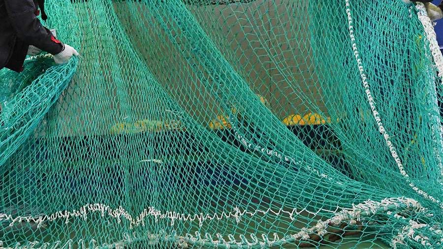 Дания и Швеция передали ВСУ рыболовные сети для борьбы с дронами