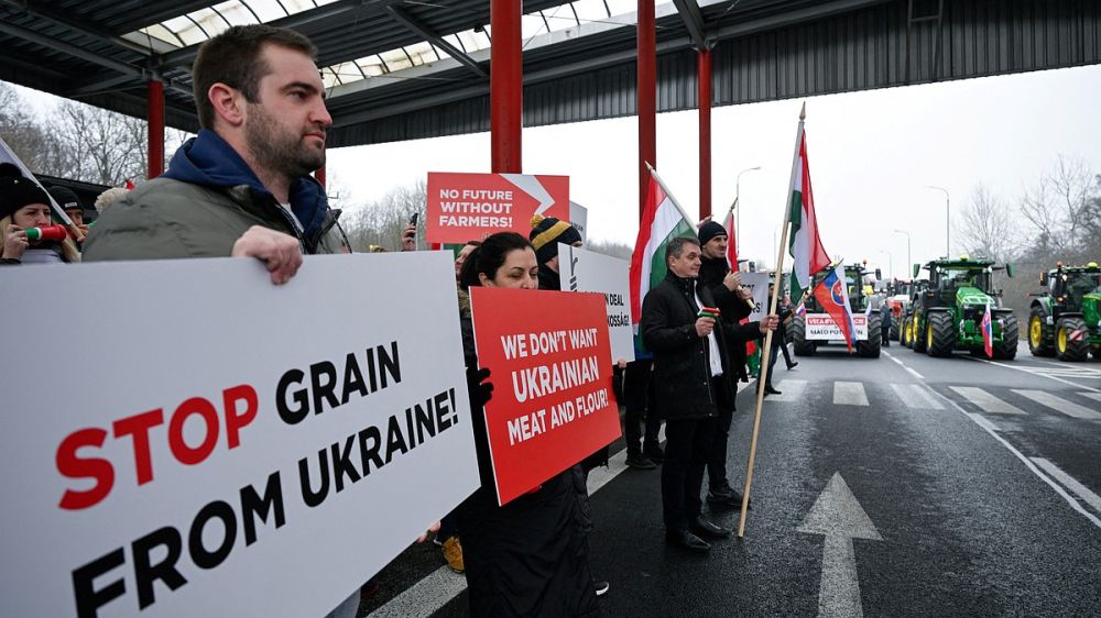 «Сезон морковки перед носом ослов окончен»: в Киеве недовольны решением Европы в отношении Украины