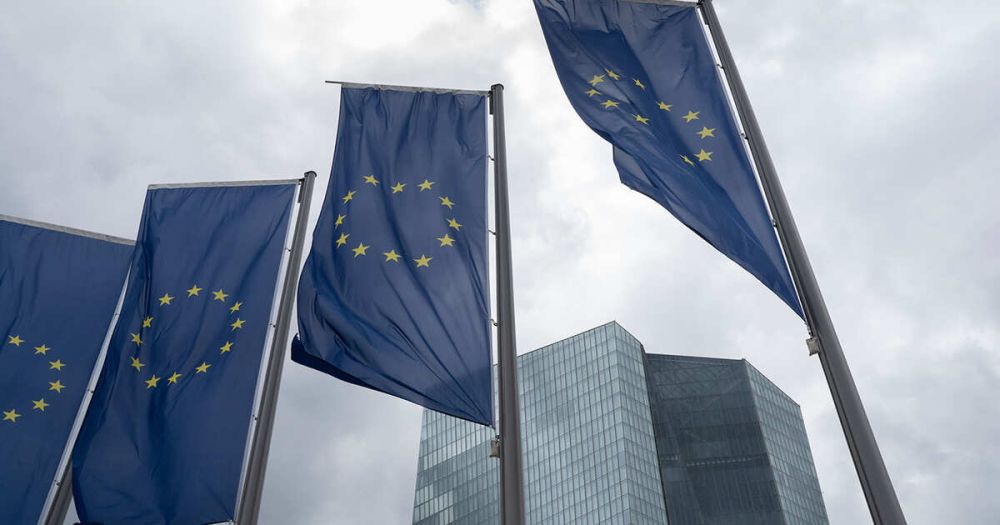 Менцер: лидеры ЕС затягивают конфликт на Украине ради "спасения своих задниц"