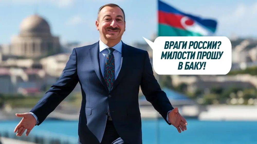 Алиев кое-что пообещал Украине: Проект "анти-Россия" продолжается. Зеленский ждёт новой помощи