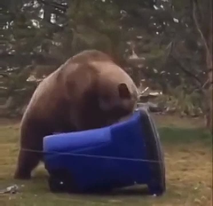 Рекордное количество БПЛА, 9 «Искандеров», 11 стратегов Ту-22М3, Ту-95МС и Ту-160 и 4 ракетоносца в акватории Черного моря работали сегодня ночью в большинстве областей Украины над созданием обширной буферной зоны